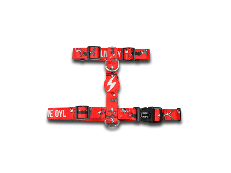 DASHI ARNÊS OLIVE OIL DASHI ARNÊS OLIVE OIL