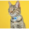 DASHI COLEIRA GATO NEBULA 