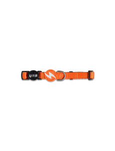 DASHI COLEIRA GATO LARANJA