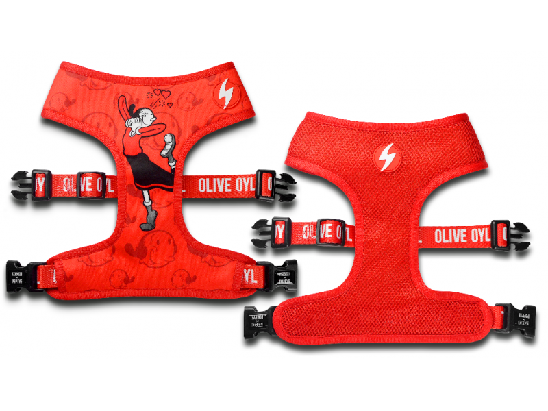 DASHI NEO MESH OLIVE OYL DASHI NEO MESH OLIVE OYL