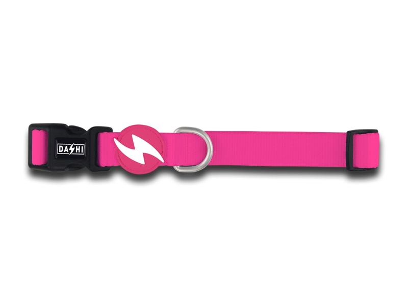 DASHI COLEIRA ROSA DASHI COLEIRA ROSA