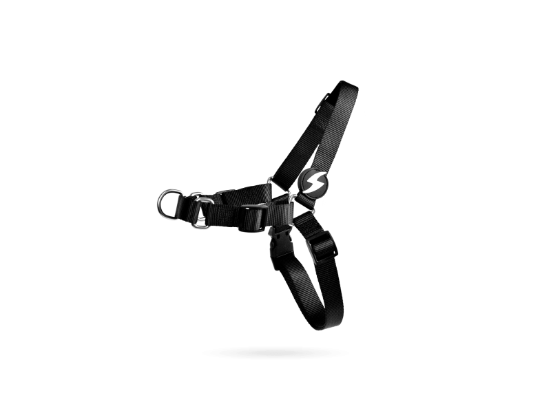 DASHI ARNÊS FRONTAL PRETO DASHI ARNÊS FRONTAL PRETO