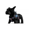 ZEE.DOG WASABI STEP-IN HARNESS
